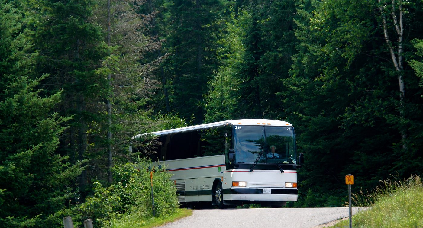 A Parkbus coach on a forest road